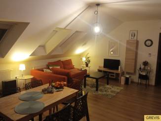 2 izbový Klimatizovaný byt v centre BA. Pet friendy, PAAS povolené